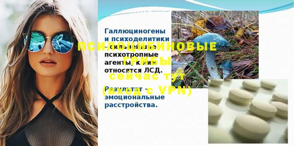 дживик Магадан