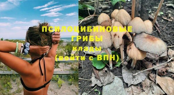 дживик Магадан