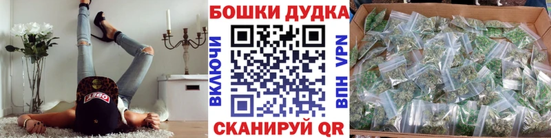 Купить где  Алейск  Шишки марихуана THC 21% 